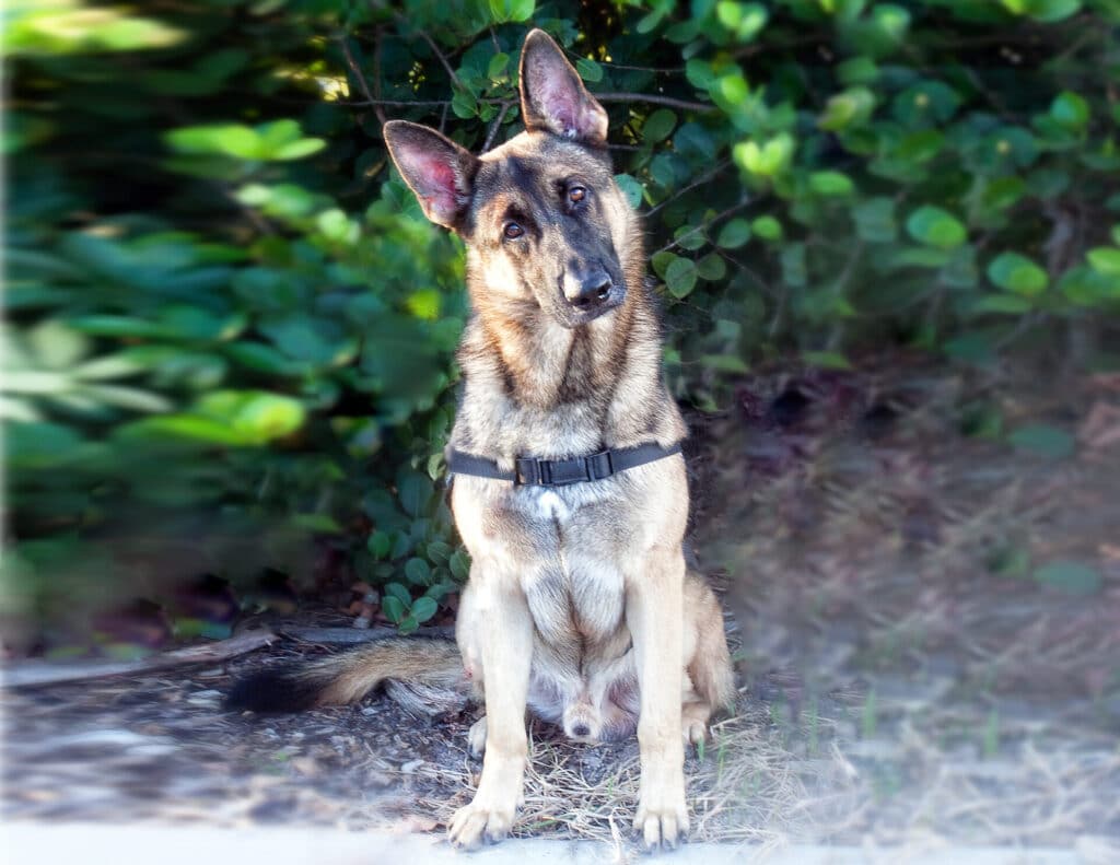 Resident walking outdoors with 09 Whiskey shirt