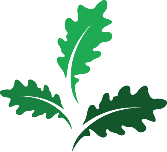 Green leaf icon illustration